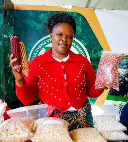 mjasiriamali mjasiriamali